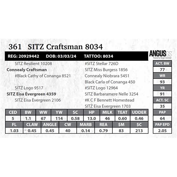 SITZ Craftsman 8034