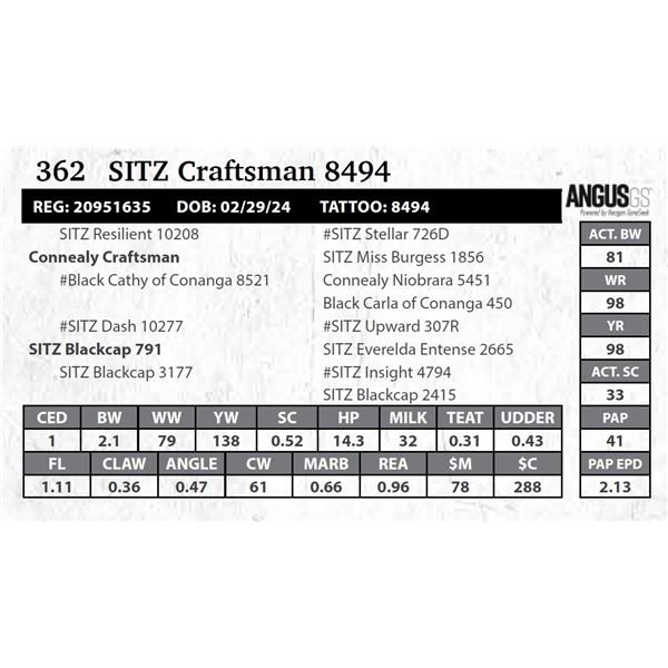 SITZ Craftsman 8494
