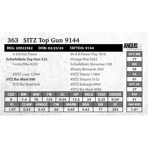 SITZ Top Gun 9144