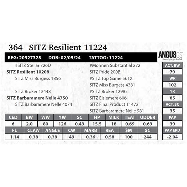 SITZ Resilient 11224