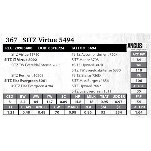 SITZ Virtue 5494