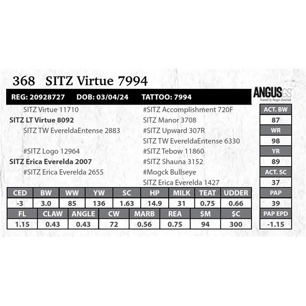 SITZ Virtue 7994