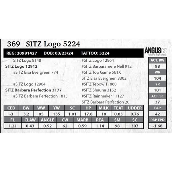 SITZ Logo 5224