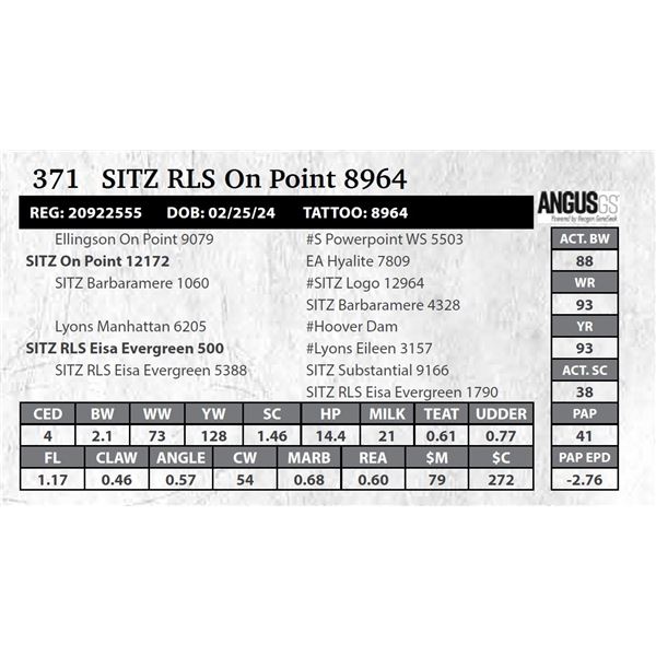 SITZ RLS On Point 8964