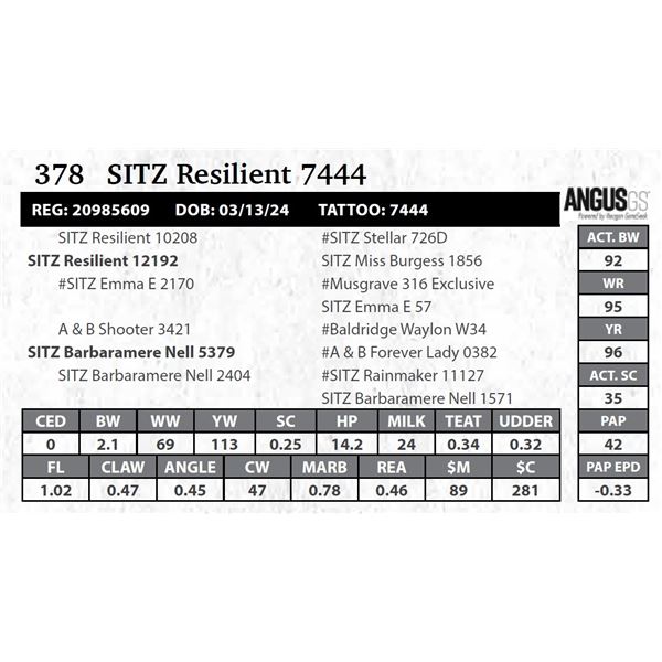 SITZ Resilient 7444
