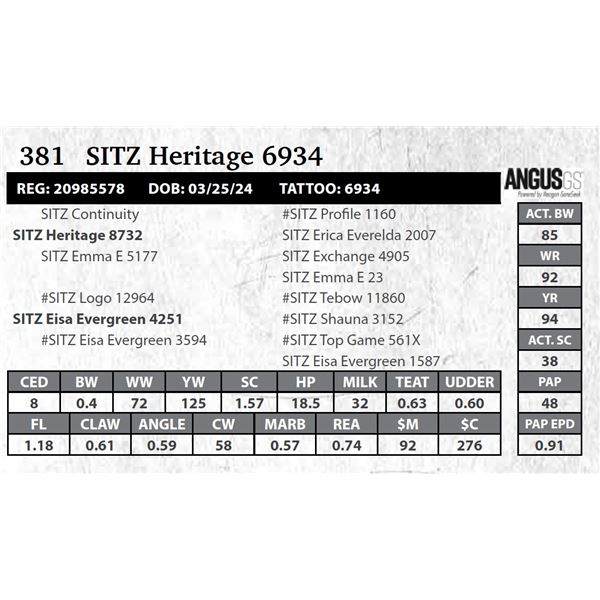 SITZ Heritage 6934