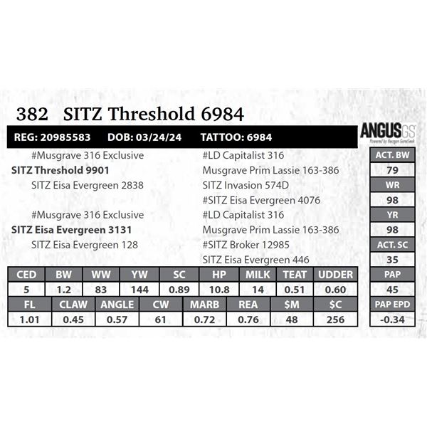 SITZ Threshold 6984