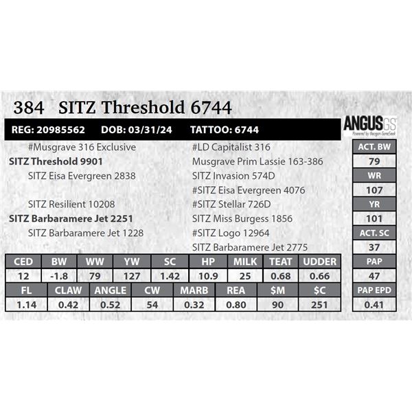 SITZ Threshold 6744