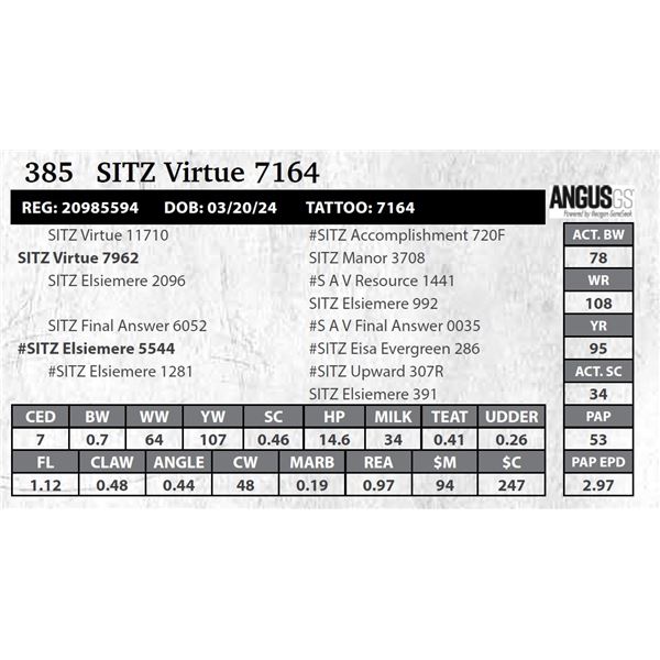 SITZ Virtue 7164