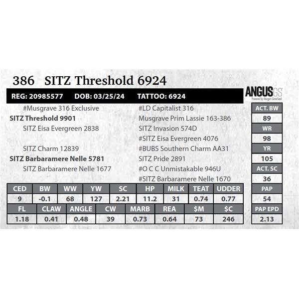 SITZ Threshold 6924