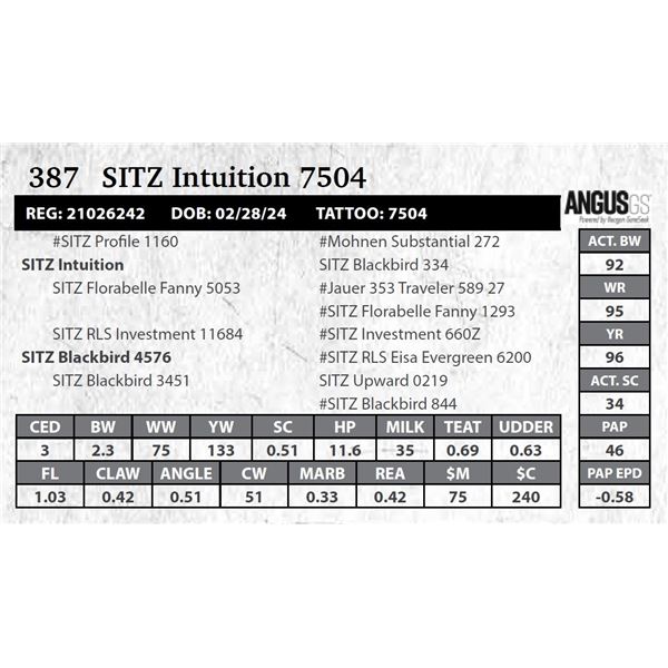 SITZ Intuition 7504