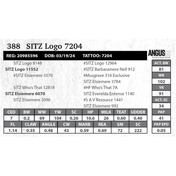 SITZ Logo 7204