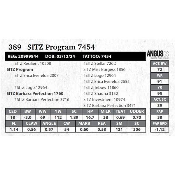 SITZ Program 7454