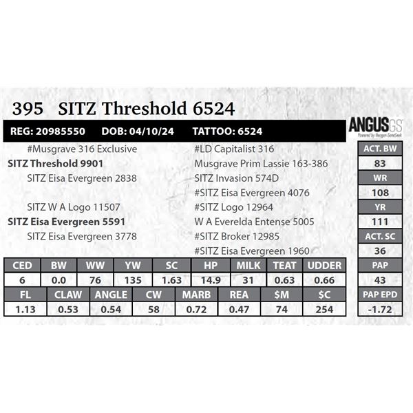 SITZ Threshold 6524