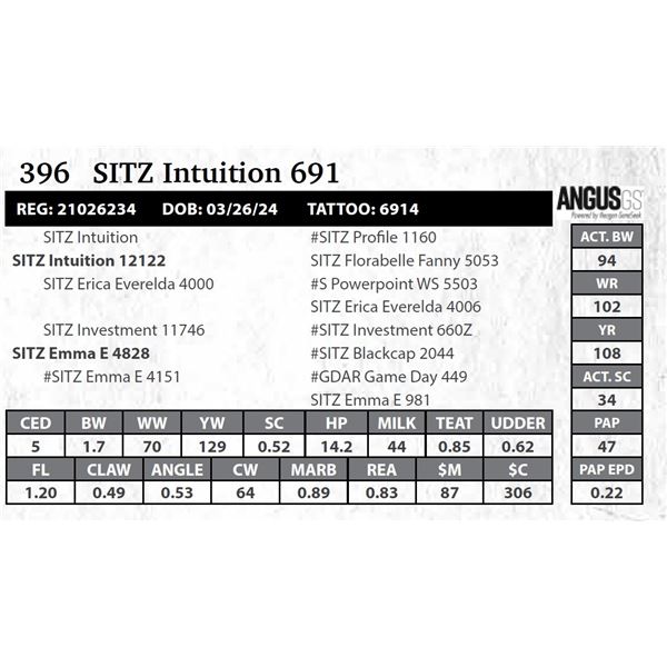 SITZ Intuition 691