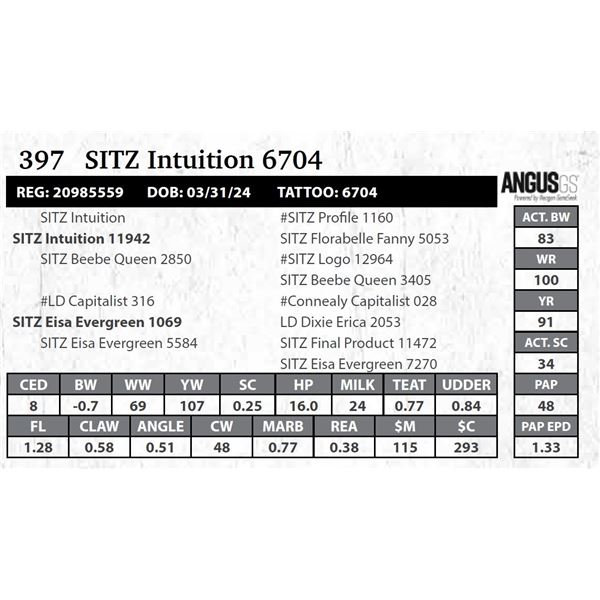 SITZ Intuition 6704