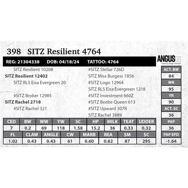 SITZ Resilient 4764