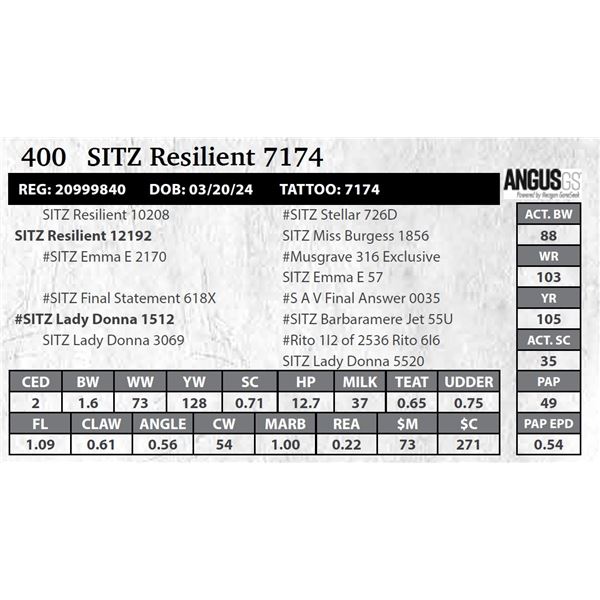 SITZ Resilient 7174