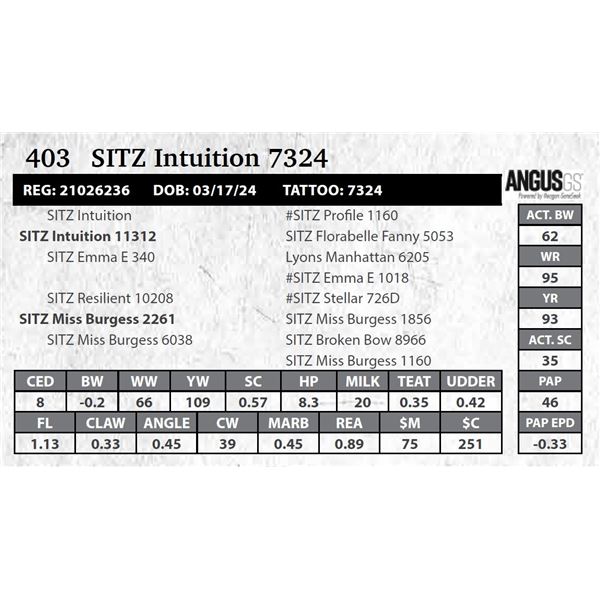 SITZ Intuition 7324