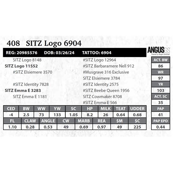 SITZ Logo 6904