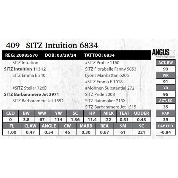 SITZ Intuition 6834