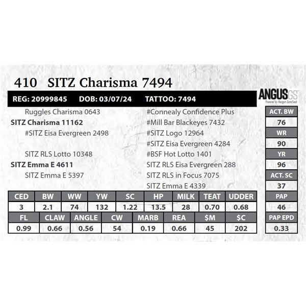 SITZ Charisma 7494