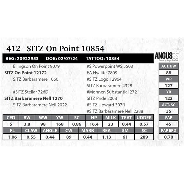 SITZ On Point 10854