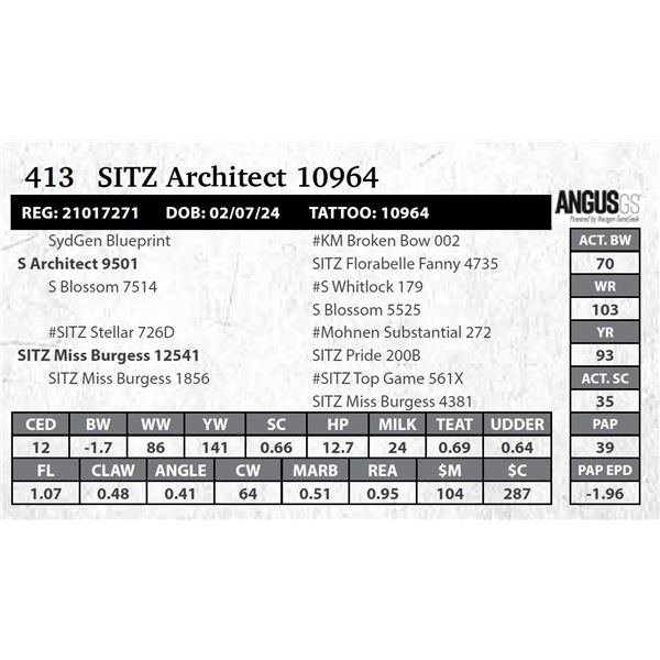SITZ Architect 10964
