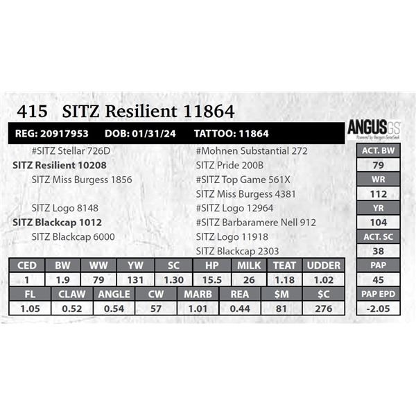 SITZ Resilient 11864