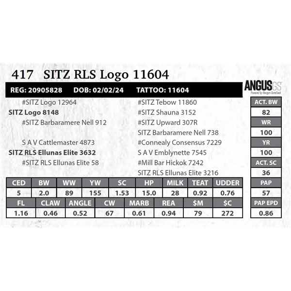 SITZ RLS Logo 11604