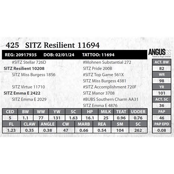 SITZ Resilient 11694