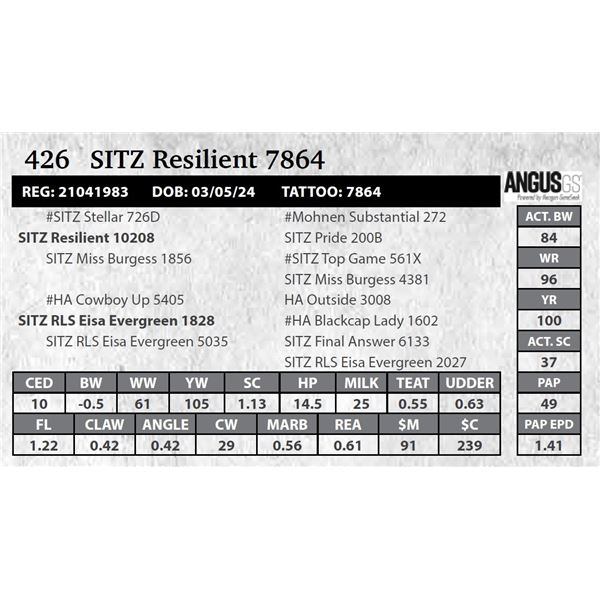 SITZ Resilient 7864