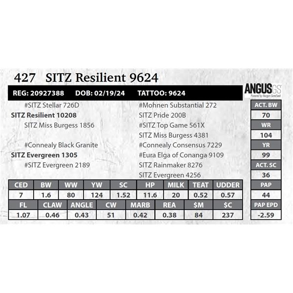 SITZ Resilient 9624