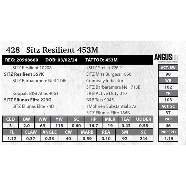 Sitz Resilient 453M