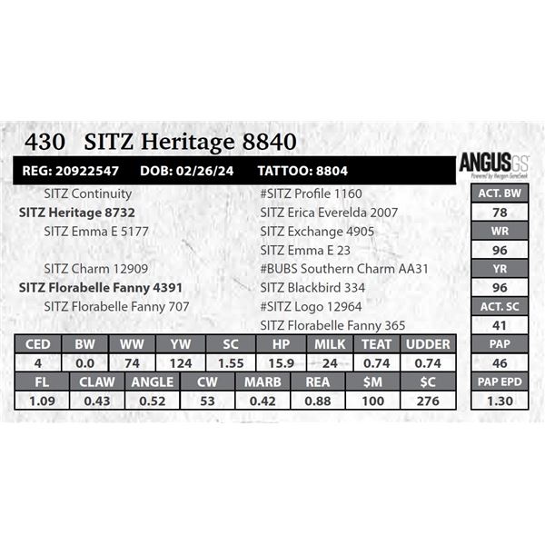 SITZ Heritage 8804