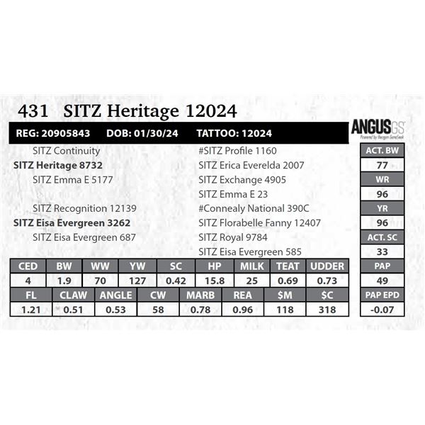 SITZ Heritage 12024