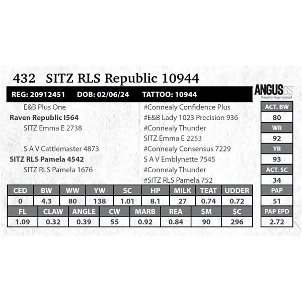 SITZ RLS Republic 10944