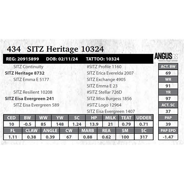 SITZ Heritage 10324