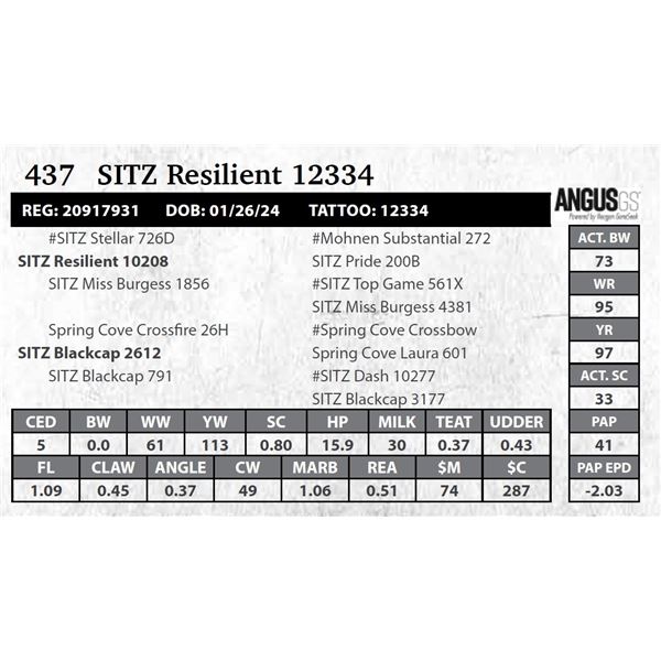 SITZ Resilient 12334