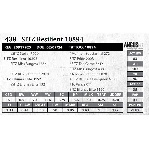 SITZ Resilient 10894