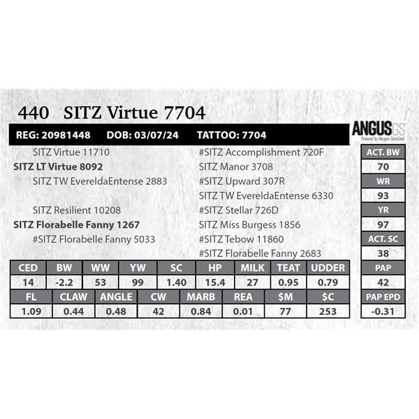 SITZ Virtue 7704