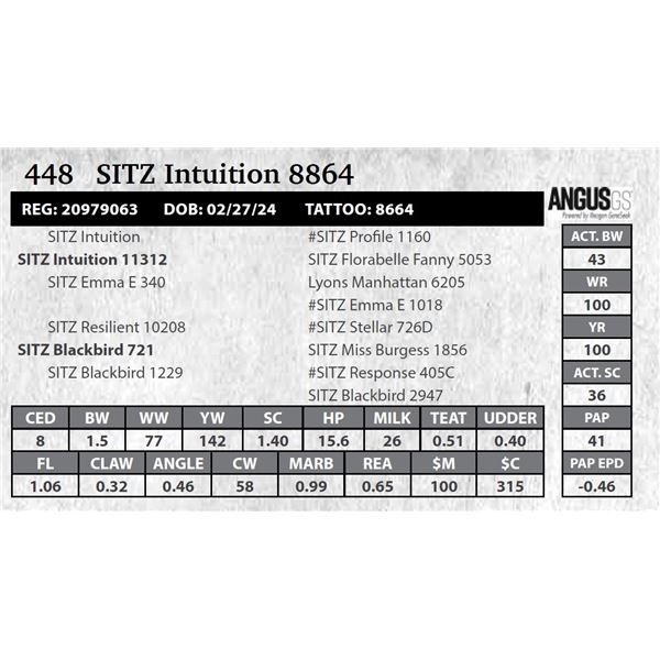 SITZ Intuition 8864