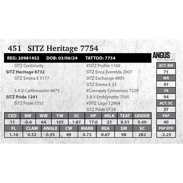 SITZ Heritage 7754
