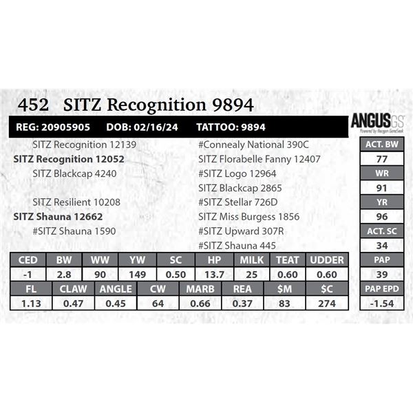 SITZ Recognition 9894