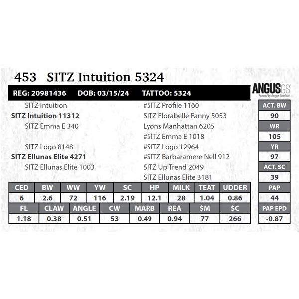 SITZ Intuition 5324