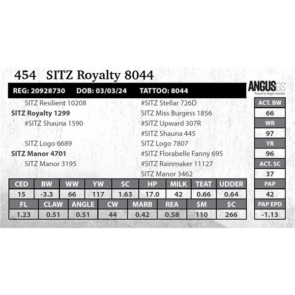 SITZ Royalty 8044
