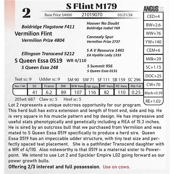S Flint M179