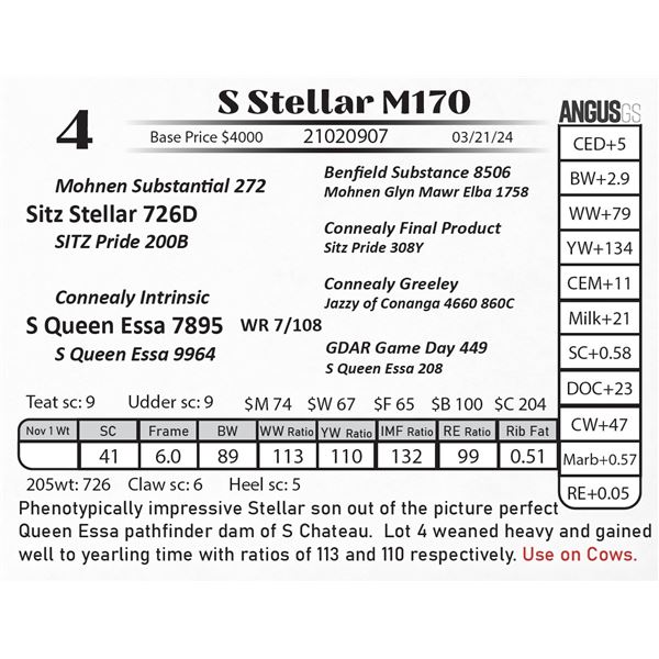 S Stellar M170