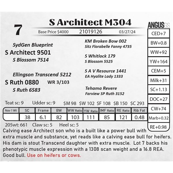 S Architect M304