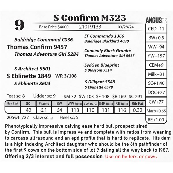 S Confirm M323